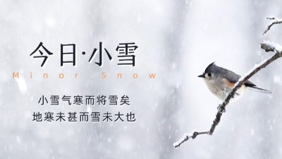 今日小雪：天漸寒，雪漸盛，愿您安康！