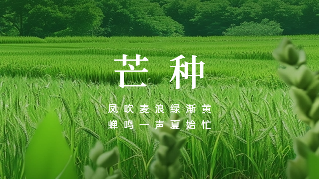 國(guó)晉：今日芒種