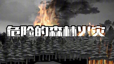 危險(xiǎn)的森林火災(zāi)--四川國晉消防
