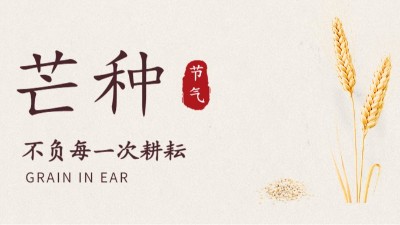 芒種不盲，關(guān)注消防---國晉消防