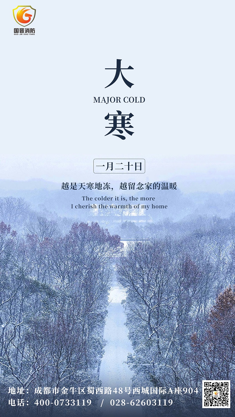 大寒節(jié)氣問候祝福實景手機海報